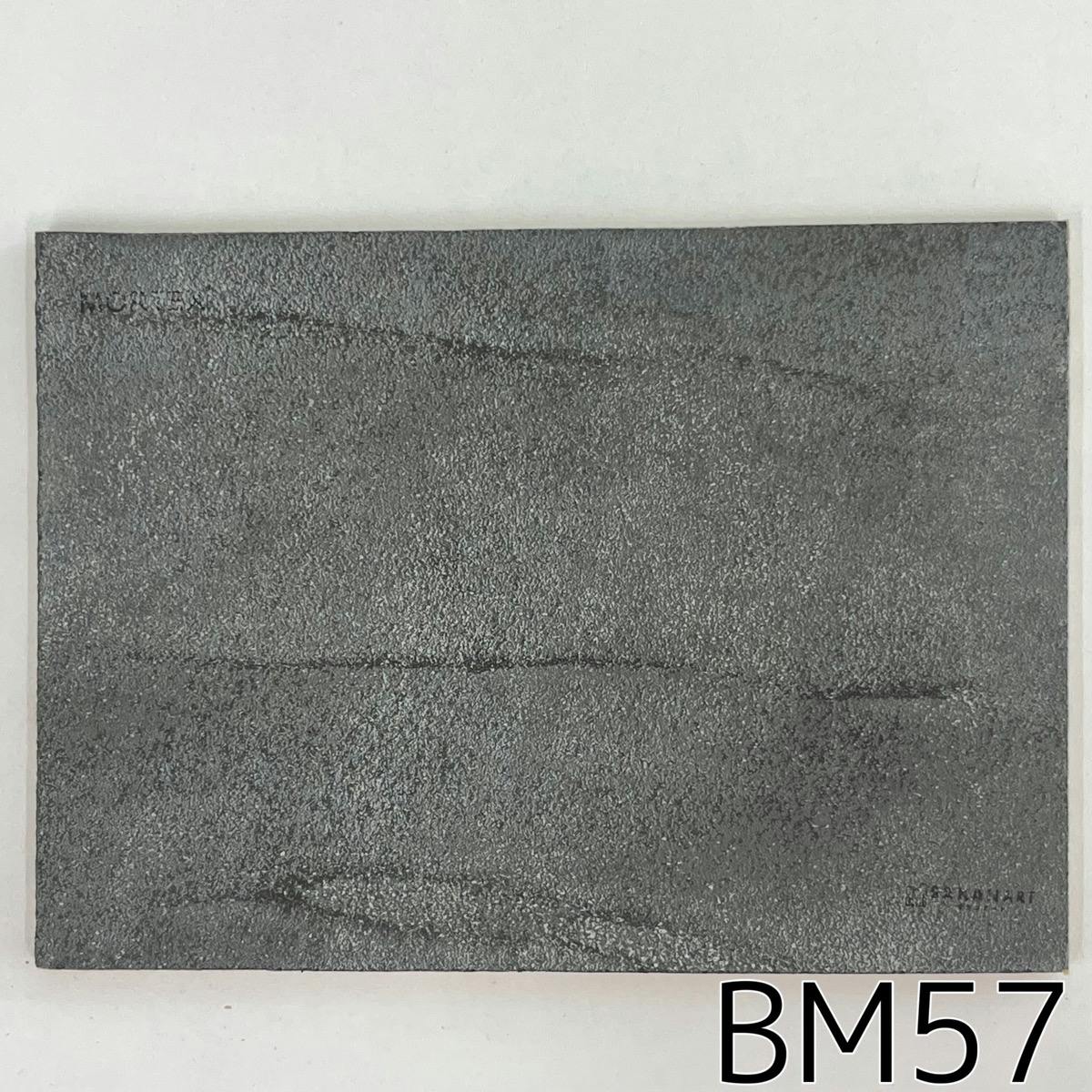 モールテックス塗サンプル BM57