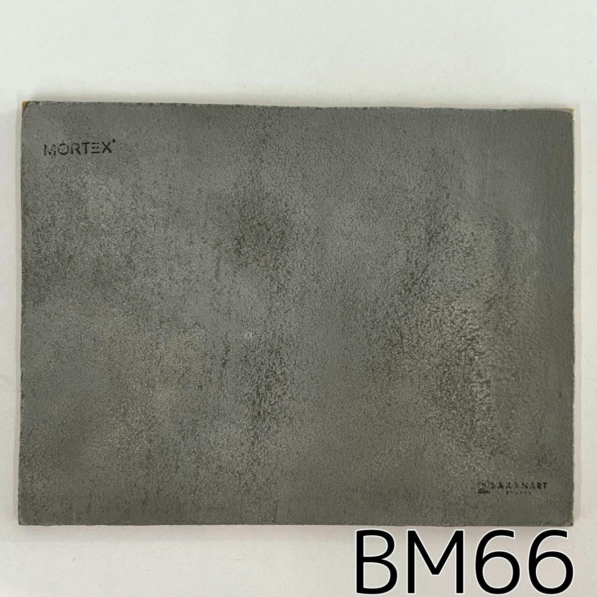 モールテックス塗サンプル BM66