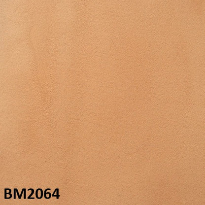 モールテックス塗サンプル BM2064