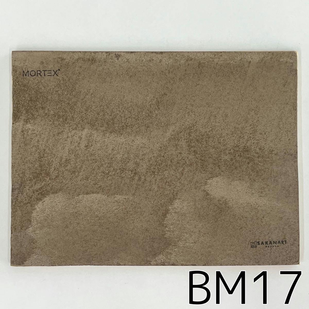モールテックス塗サンプル BM17