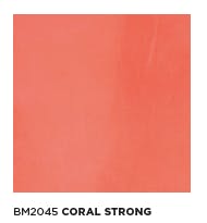 モールテックス塗サンプル BM2045