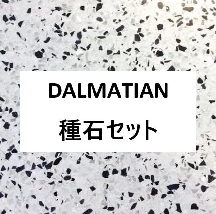 ビールストーン　DALMATIAN　種石セット