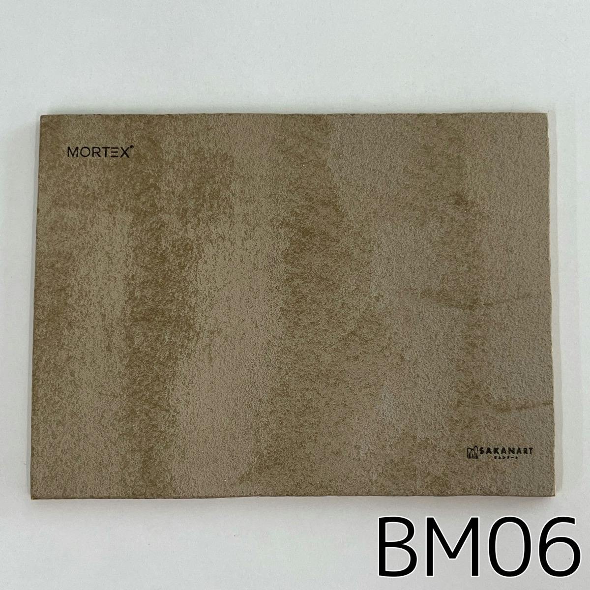 モールテックス塗サンプル BM06