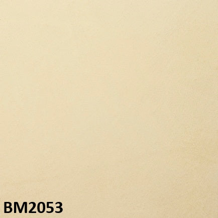 モールテックス塗サンプル BM2053