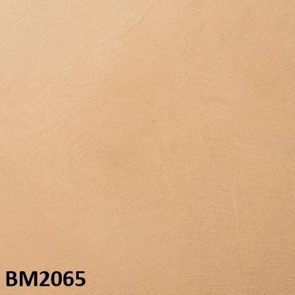 モールテックス塗サンプル BM2065
