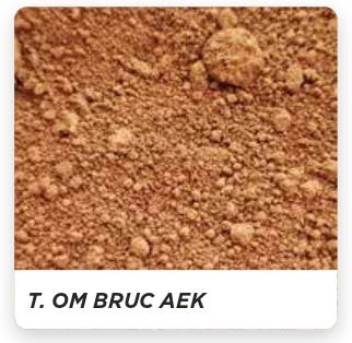 顔料　T.OM.BRUC　AEK　300g　SAND