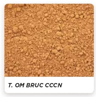 顔料　T.OM.BRUC　CCCN　400g　SHITAKE