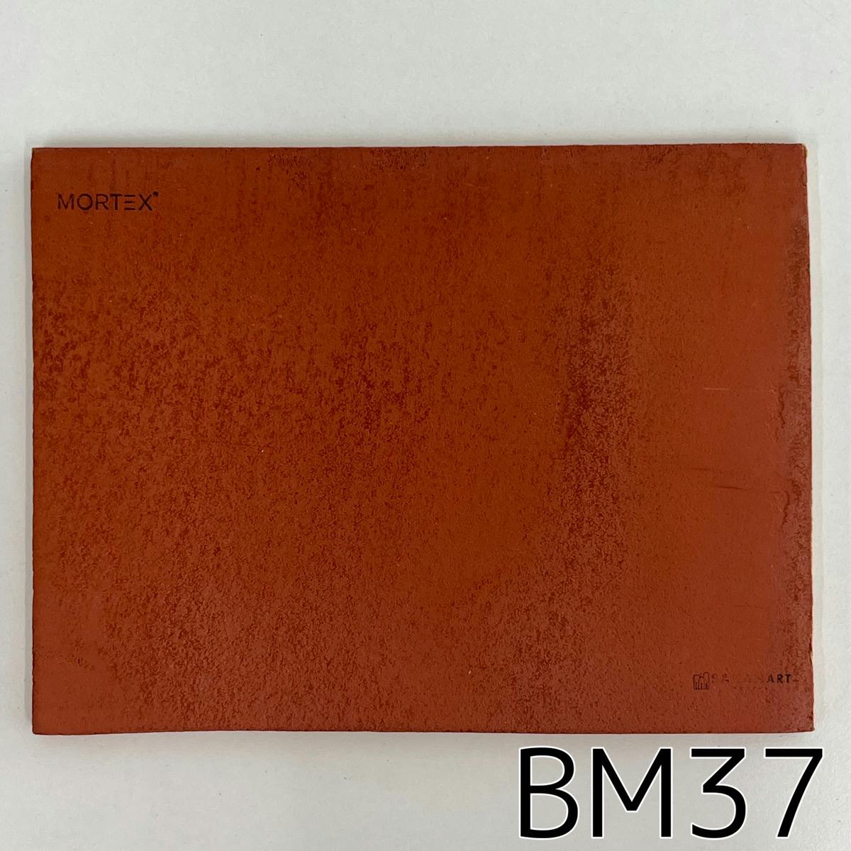モールテックス塗サンプル BM37