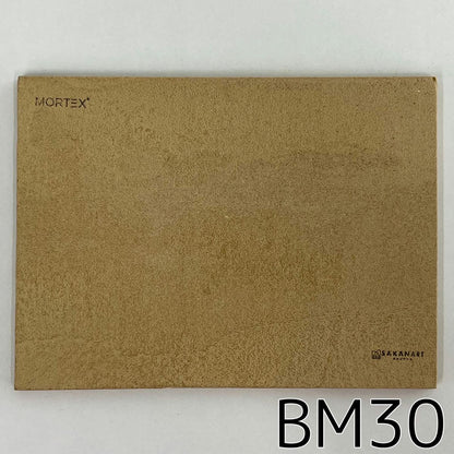 モールテックス塗サンプル BM30