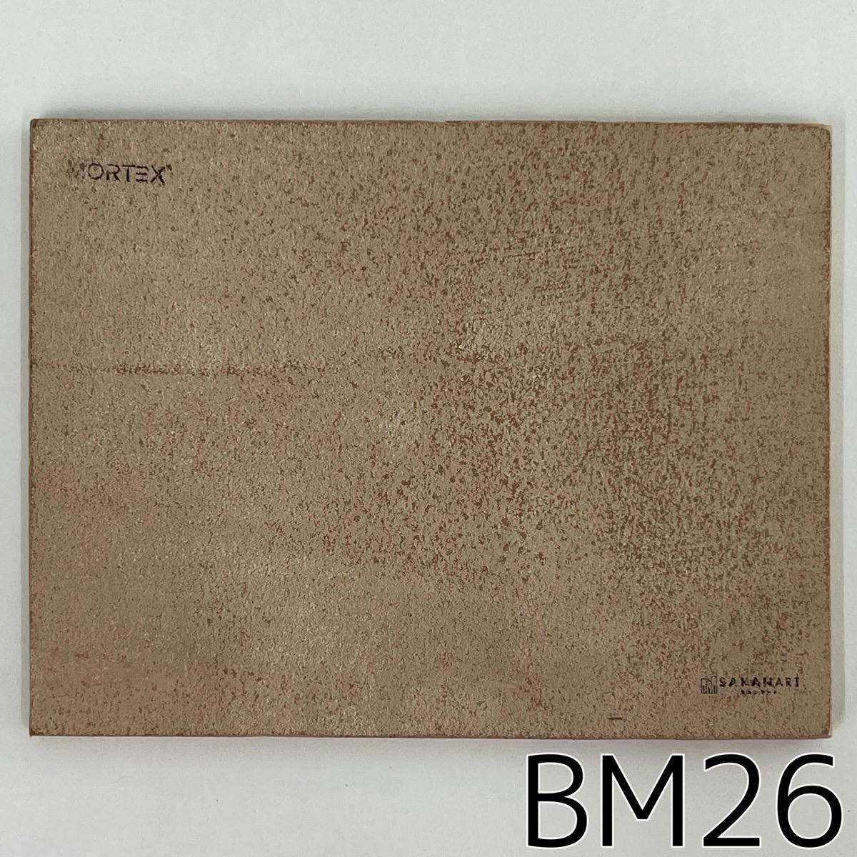 モールテックス塗サンプル BM26