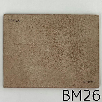 モールテックス塗サンプル BM26