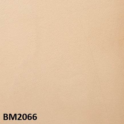 モールテックス塗サンプル BM2066