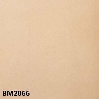 モールテックス塗サンプル BM2066