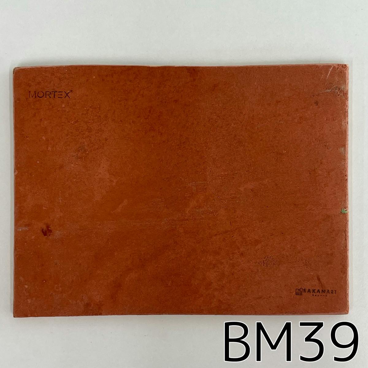 モールテックス塗サンプル BM39