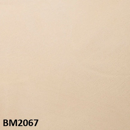 モールテックス塗サンプル BM2067