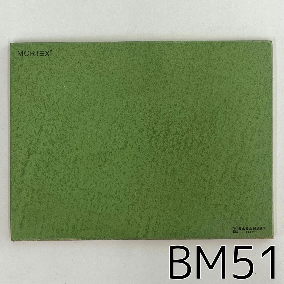 モールテックス塗サンプル BM51