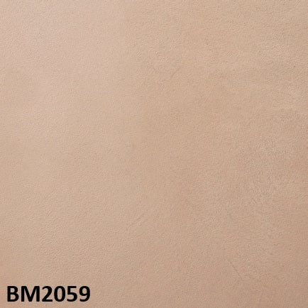 モールテックス塗サンプル BM2059