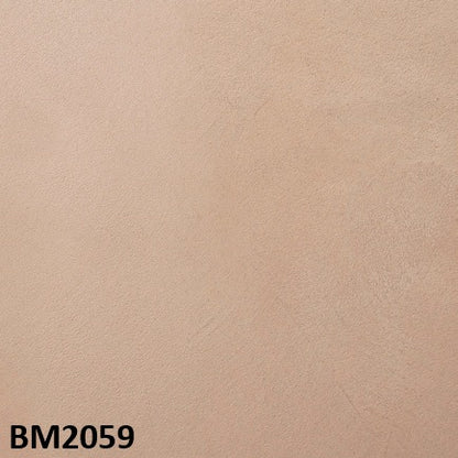 モールテックス塗サンプル BM2059