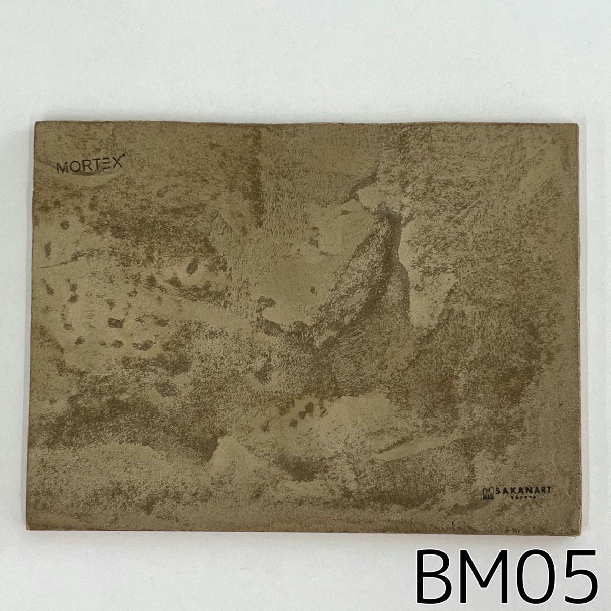 モールテックス塗サンプル BM05