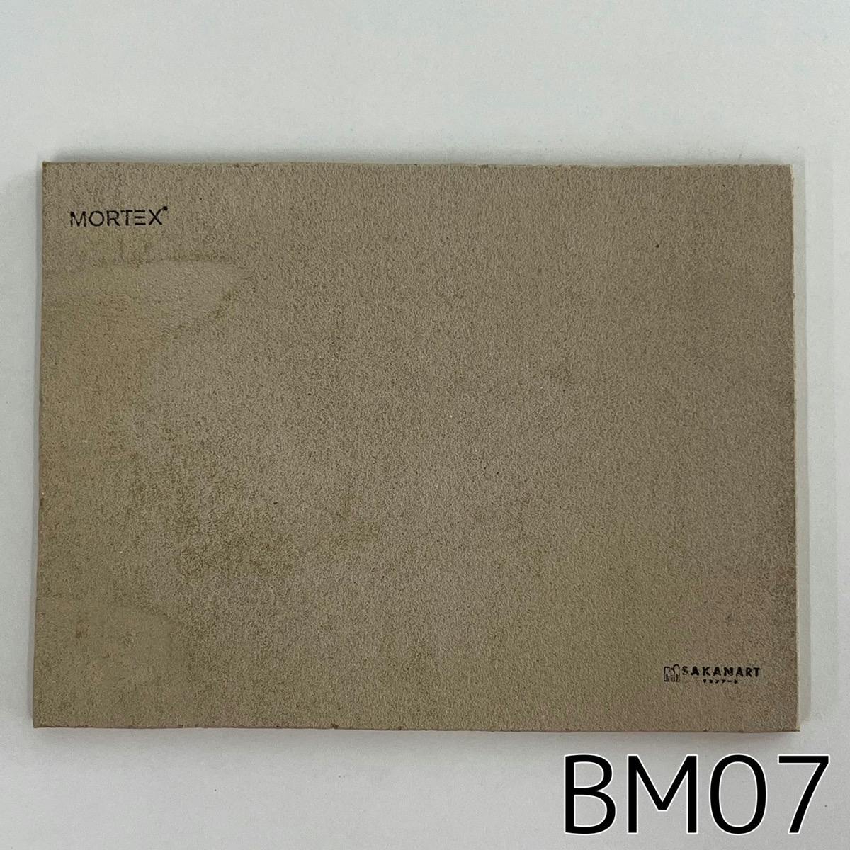 モールテックス塗サンプル BM07