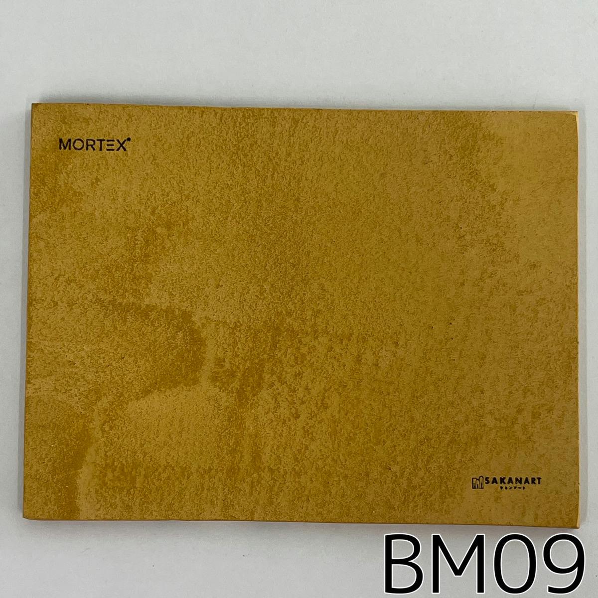 モールテックス塗サンプル BM09
