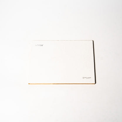 モールテックス塗サンプル BM04