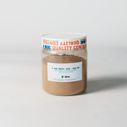 顔料　T.OM.BRUC　AEK　300g　SAND【104681】